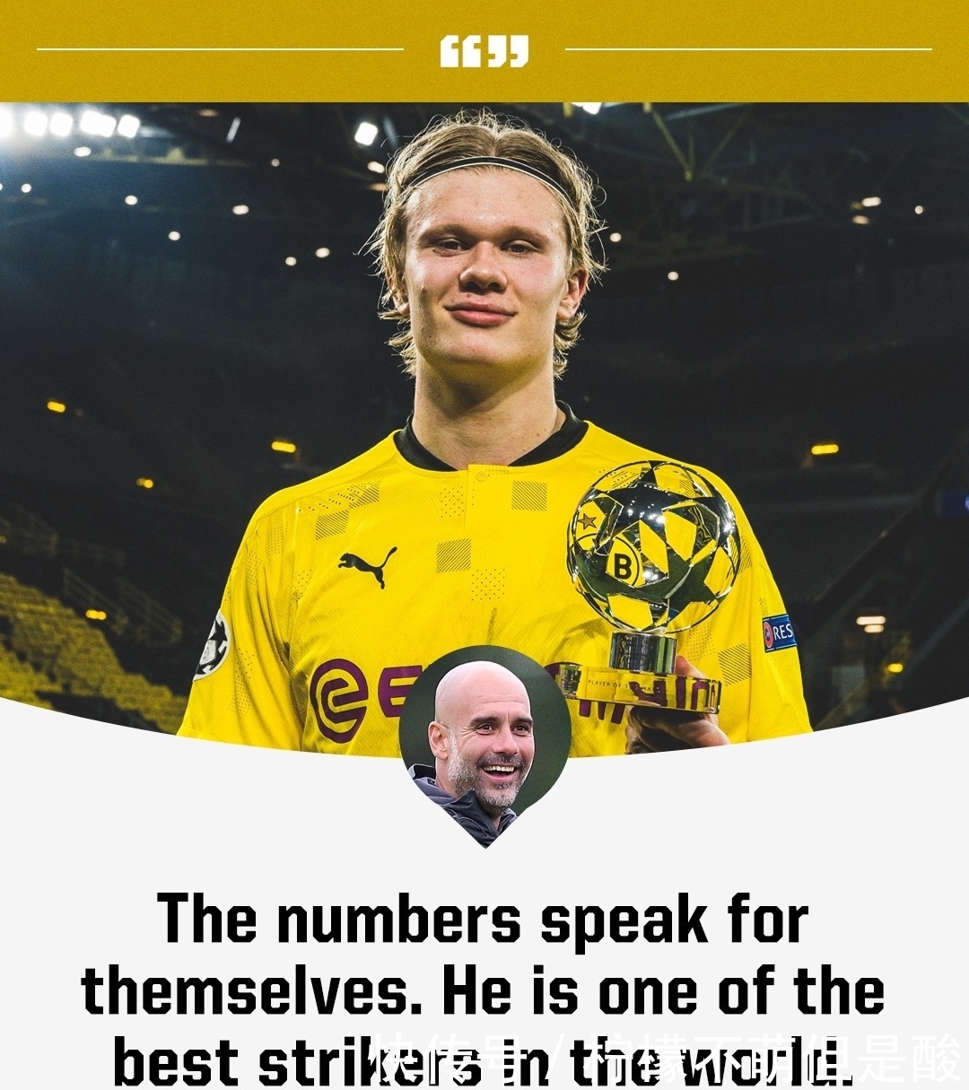 指称球员违 指称球员违