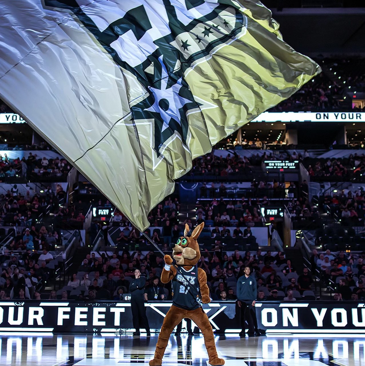 PG的领导 PG的领导