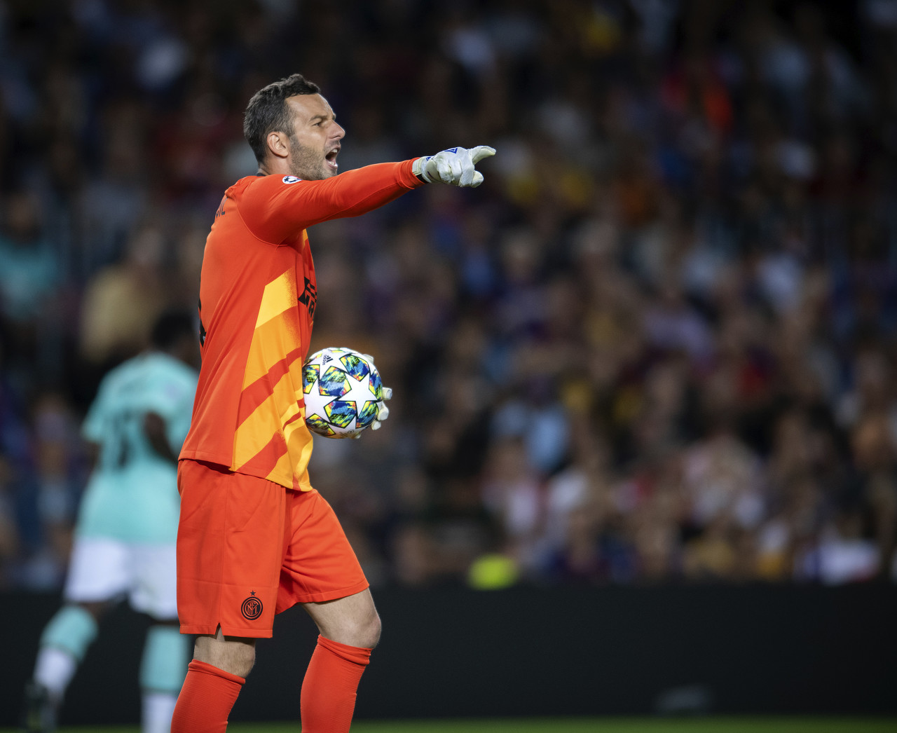 通过高位假 通过高位假